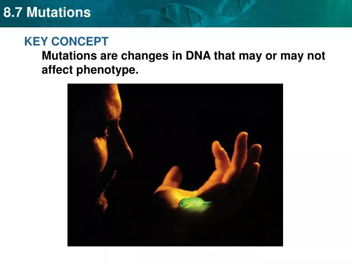 key concept mutations are changes in dna that