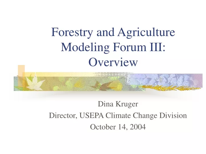 forestry and agriculture modeling forum iii overview