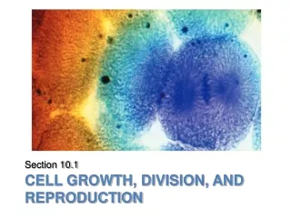 CELL GROWTH, DIVISION, AND REPRODUCTION