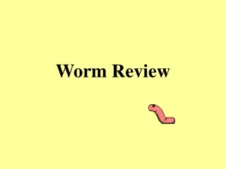 Worm Review