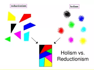 Holism vs. Reductionism