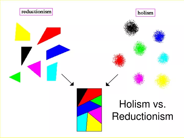 holism vs reductionism