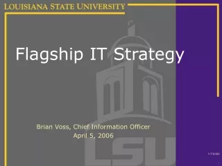 Flagship IT Strategy