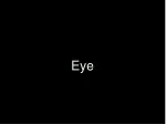 Cornea: The Window to Vision - slide 1