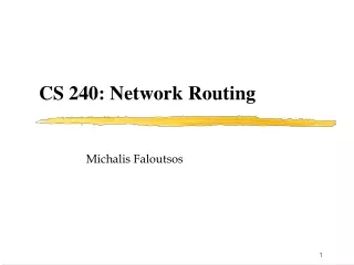 CS 240: Network Routing