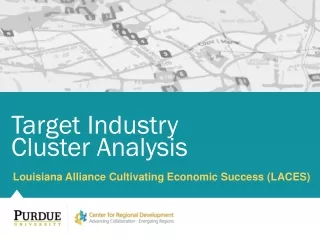 Louisiana Alliance Cultivating Economic Success (LACES)