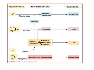 The importance of synthesis by polymerization