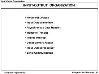 INPUT-OUTPUT  ORGANIZATION