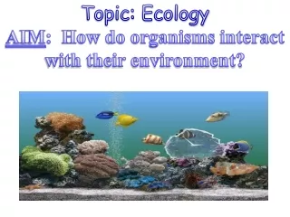 Topic:  Ecology AIM :  How do organisms interact with  their environment ?