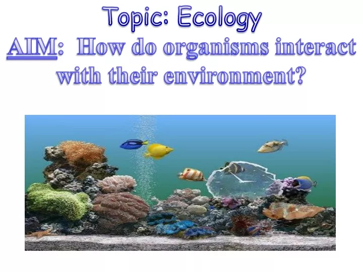 topic ecology aim how do organisms interact with