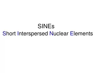 SINEs  S hort  I nterspersed  N uclear  E lements