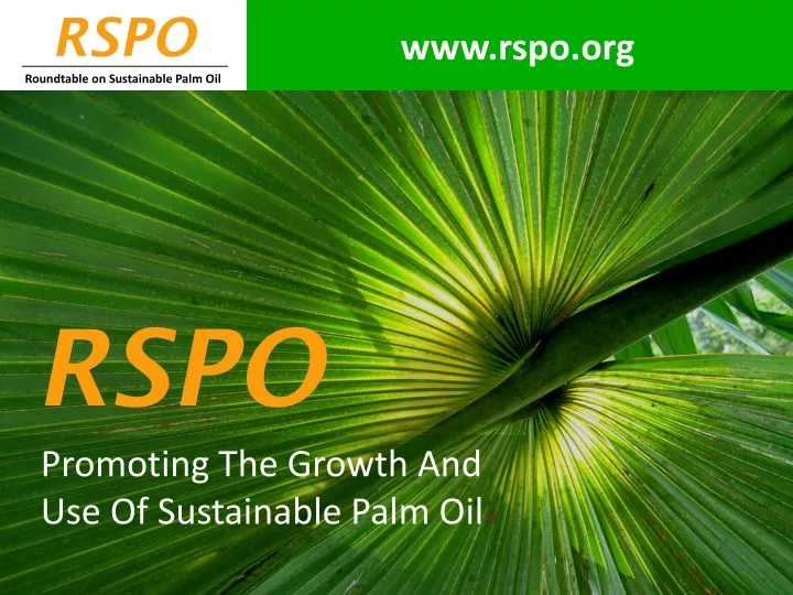 www rspo org