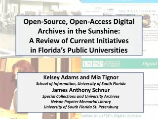 Open-Source, Open-Access Digital  Archives in the Sunshine:  A Review of Current Initiatives