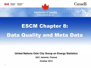 United Nations Oslo City Group on Energy Statistics