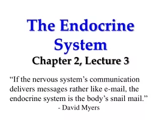 The Endocrine System Chapter 2, Lecture 3