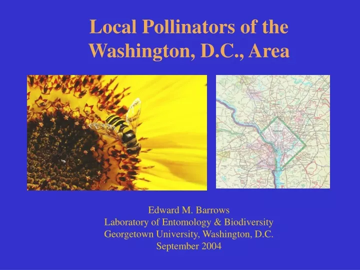 local pollinators of the washington d c area