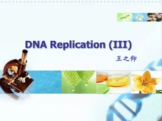 DNA Replication (III)