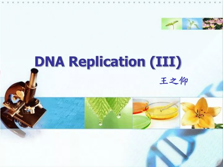 dna replication iii