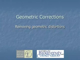 Geometric Corrections
