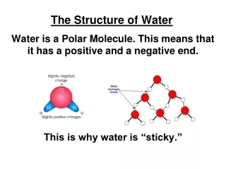 The Structure of Water