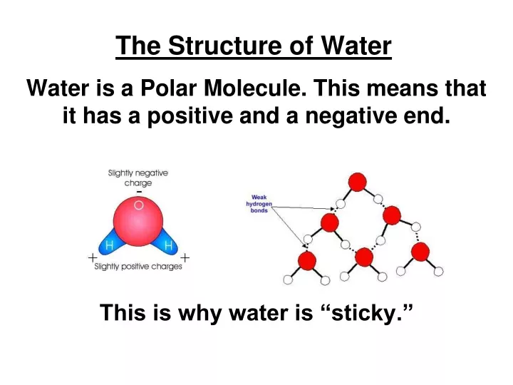 the structure of water