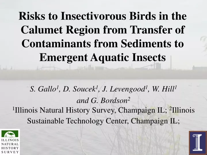 risks to insectivorous birds in the calumet