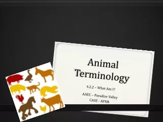 Animal Terminology