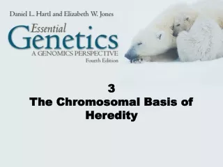 3 The Chromosomal Basis of Heredity