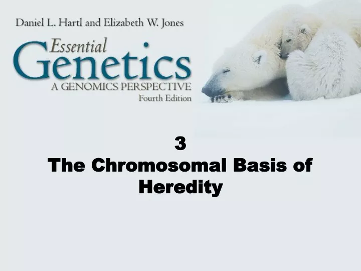 3 the chromosomal basis of heredity