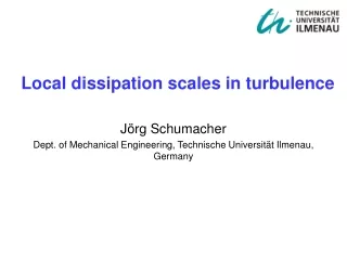 Jörg Schumacher  Dept. of Mechanical Engineering, Technische Universität Ilmenau, Germany