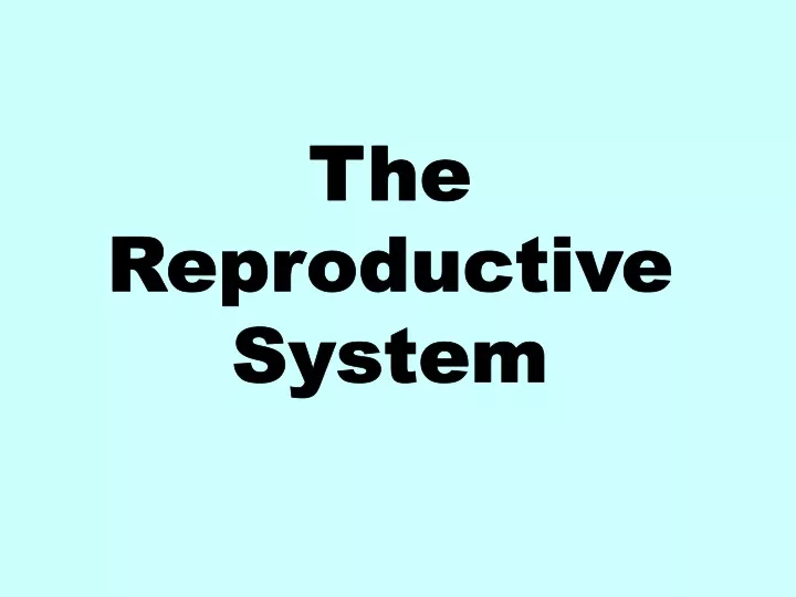 the reproductive system