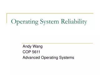 Operating System Reliability