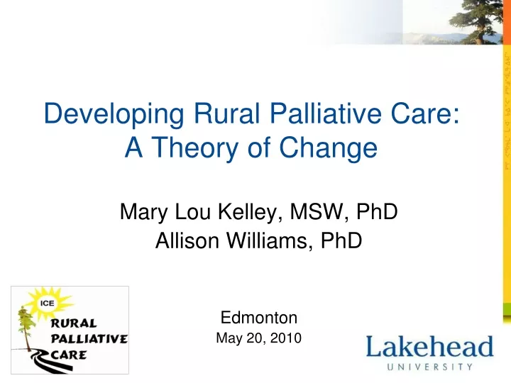 developing rural palliative care a theory of change