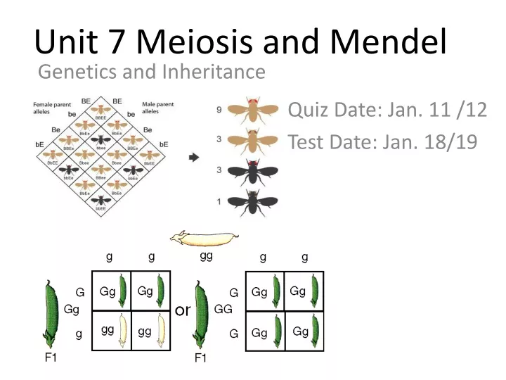 unit 7 meiosis and mendel