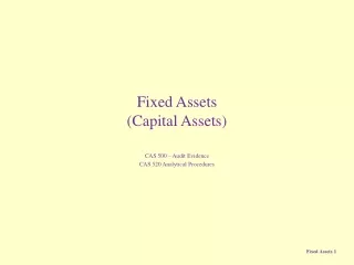 Fixed Assets (Capital Assets)