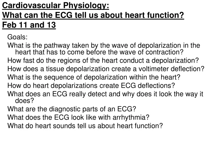 cardiovascular physiology what can the ecg tell us about heart function feb 11 and 13