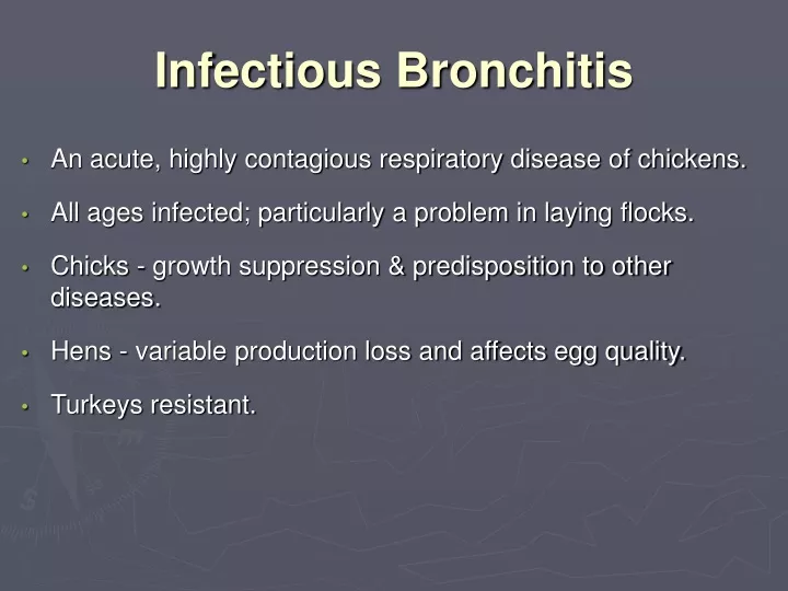 infectious bronchitis