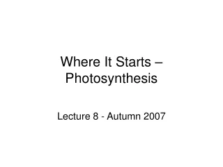 Where It Starts – Photosynthesis