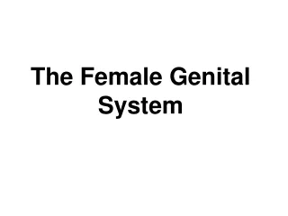 The Female Genital System