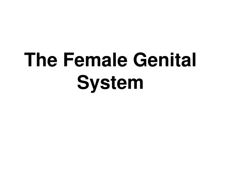 the female genital system