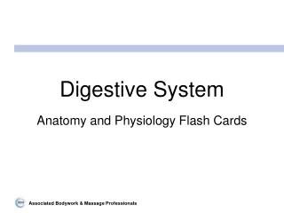 Digestive System