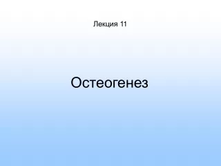 Лекция 1 1