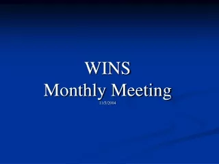 WINS  Monthly Meeting 11/5/2004