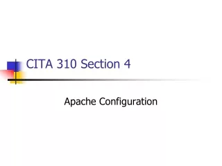 CITA 310 Section 4