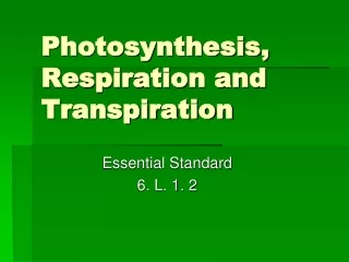 Photosynthesis, Respiration and Transpiration