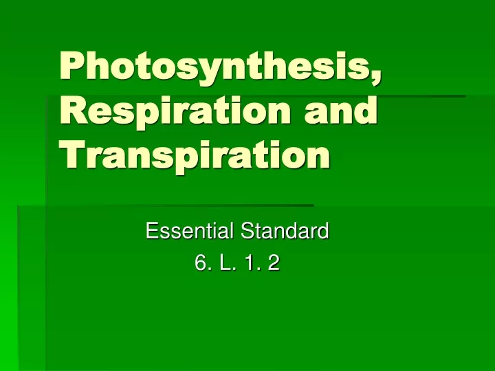 photosynthesis respiration and transpiration