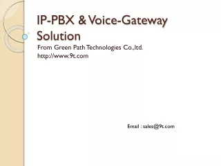 IP-PBX &amp; Voice-Gateway Solution