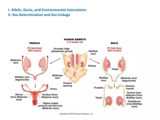 I. Allelic, Genic, and Environmental Interactions II. Sex Determination and Sex Linkage