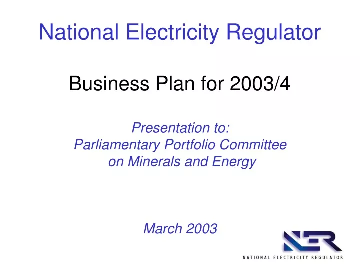 national electricity regulator business plan