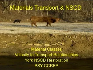 Materials Transport &amp; NSCD